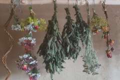 urter hængt til tørring