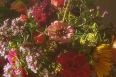 froekenhat-oregano-pink-og-gule-nuancer