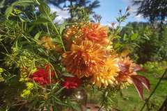 hurtig buket med dahlia til havebordet